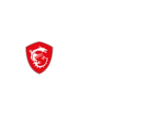 MSI